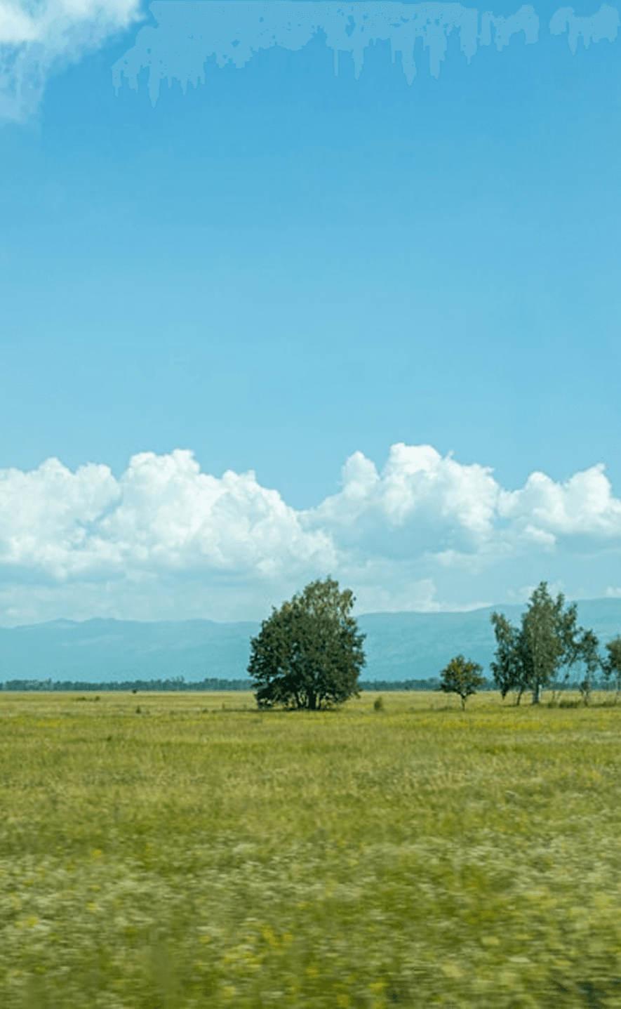 Land & Development Advisory